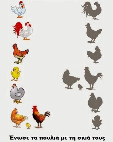 Νηπιαγωγειο διαδραστικες δραστηριοτητες για τα κατοικιδια ζωα