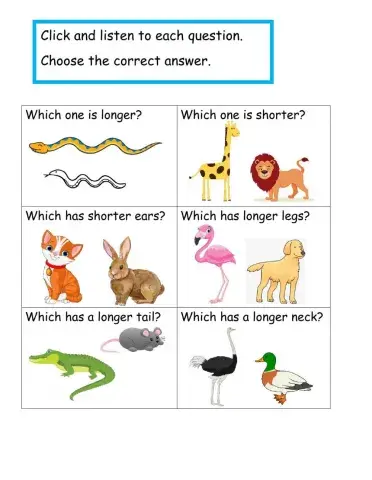 Measurement- Long-Short