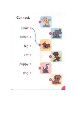 Text: Baby animals (p.5)