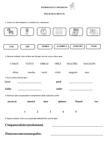 FIȘĂ DE LUCRU - LITERA Z