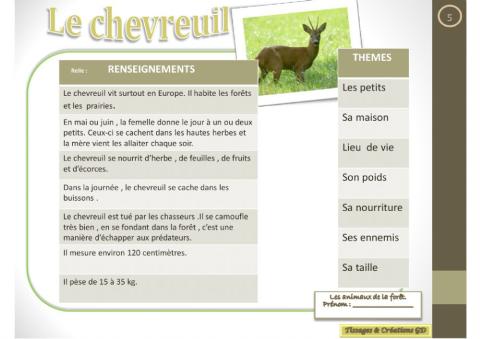 Lecture - Le chevreuil