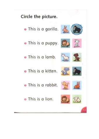 Text: Baby animals (p.13)