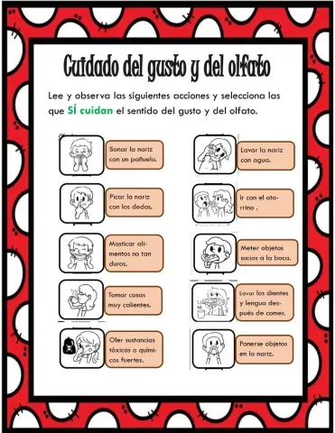 Cuidados del olfato y oído.