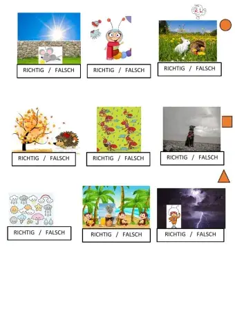 Das Wetter - Hören: RICHTIG ODER FALSCH?