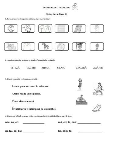 EXERCIȚII APLICATIVE - LITERA Z
