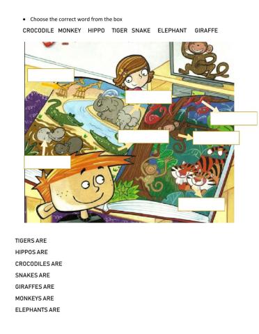 WILD ANIMALS KID´S BOX 1