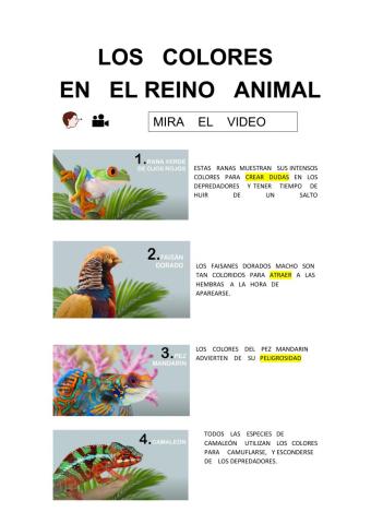 Los colores en el reino animal