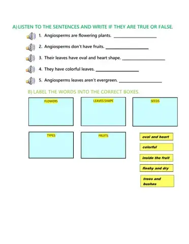 Angiosperms comprehension check