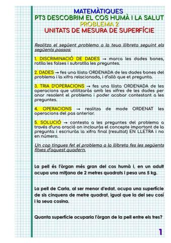 Problemes Unitats de Superficie