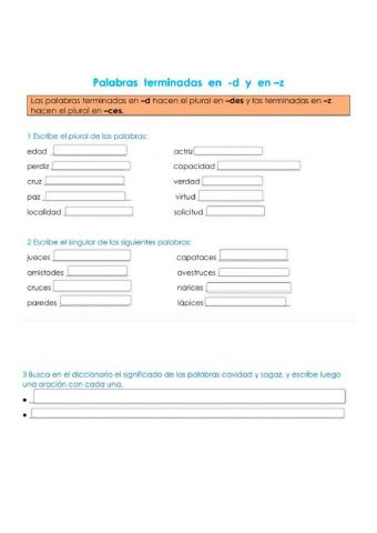 Plural de palabras acabadas en D y Z