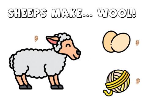 Sheeps make wool