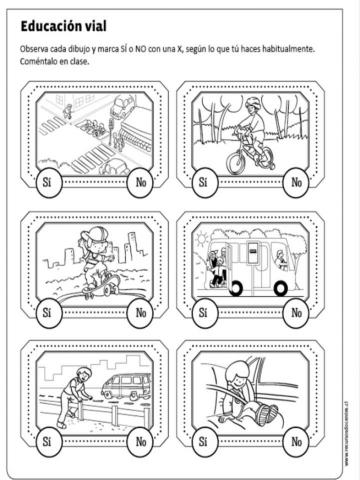 Educación vial ¿lo hacen bien?