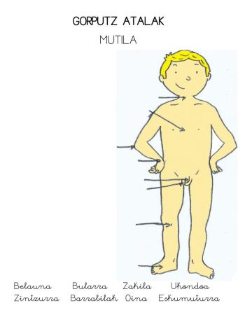 Gorputz atalak mutila