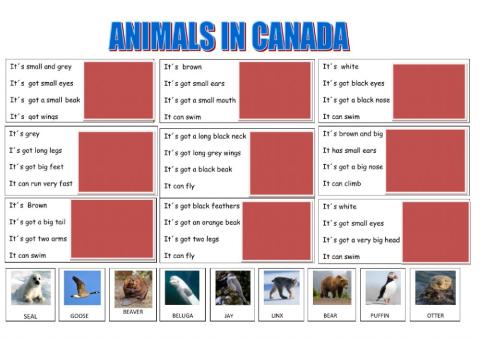 Animals in canada