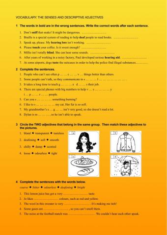 The senses and descriptive adjectives