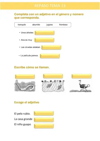 Repaso tema 13 lengua