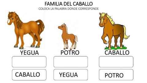 La familia del caballo
