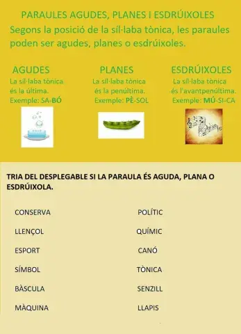 Paraules agudes, planes i esdrúixoles