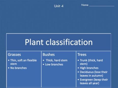 Unit 4 Plant Classification