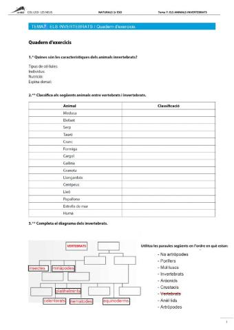 ELS ANI MALS INVERTEBRATS-1rESO