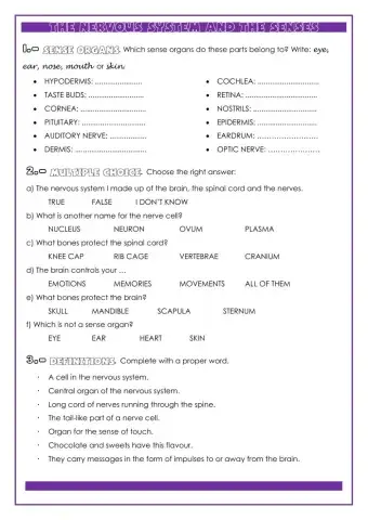 Nervous System and Senses