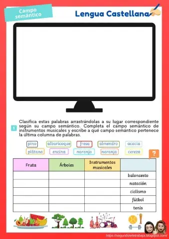 Campo semántico, palabras homófonas, polisémicas y compuestas.