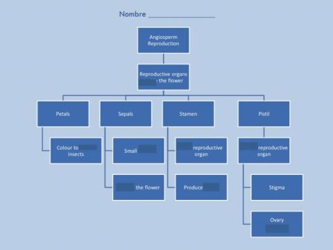Unit 4 Reproduction of Angiosperms Complete Scheme