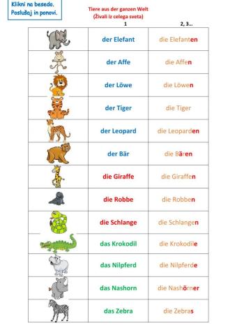 Tiere aus der ganzen Welt