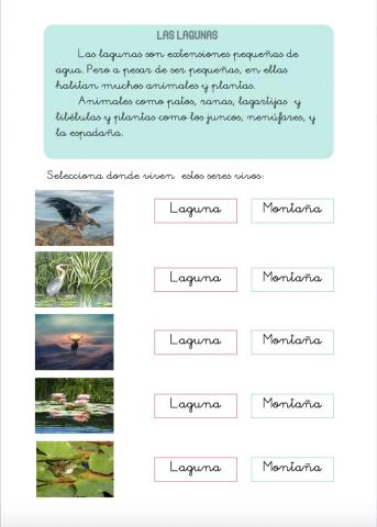 Seres vivos de la laguna y montaña