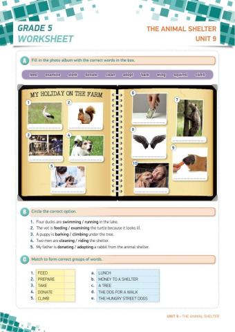 5th Grade-Unit 9 Animal Shelter WS 