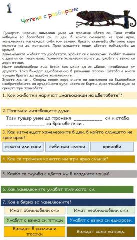 Четене с разбиране