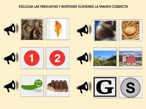 ¿Qué sabes de las gallinas?