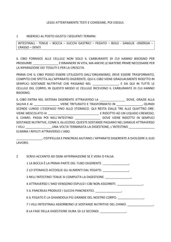 L'apparato digerente