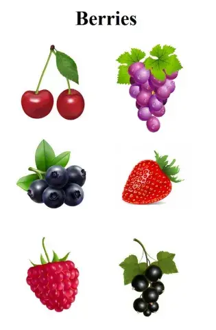 Berries