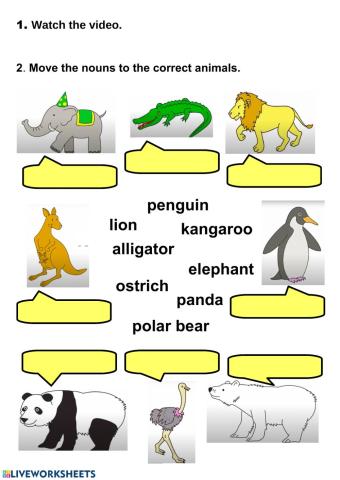 1st - Nouns - animals