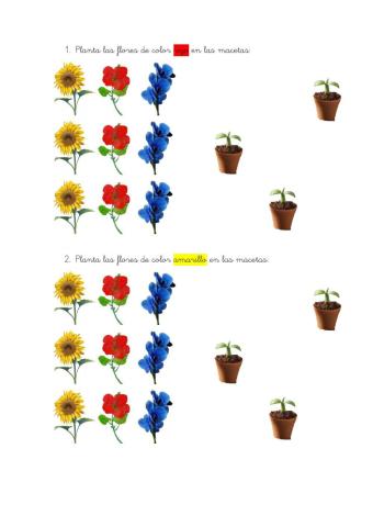 Plantar flores de colores