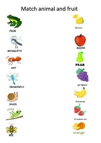 Watch the video and match