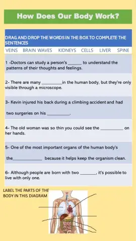 Our body - Zero and First Conditional