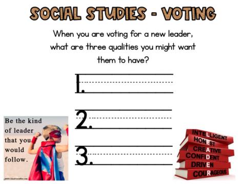 Social Studies Voting