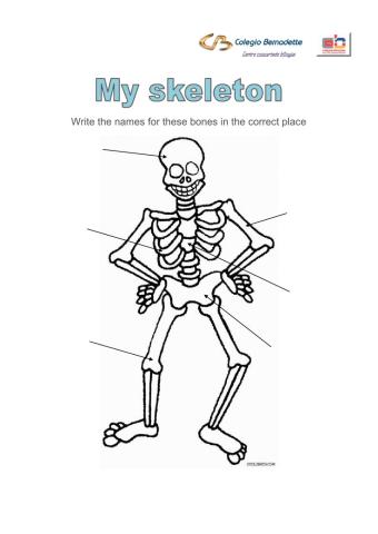 My skeleton