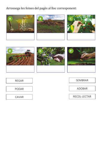 Les feines del pagès.