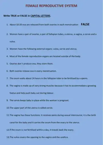 Female reproductive system