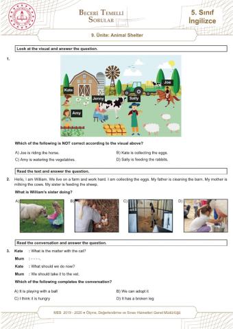 5.9 Animal Shelter - MEB Beceri temelli sorular