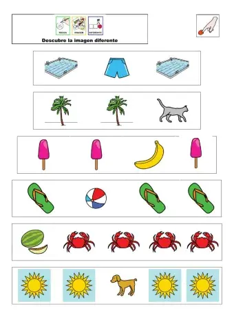 Busca la imagen diferente