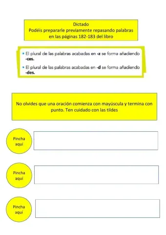 Plural de palabras terminadas en D y Z