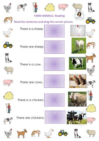 Farm animals - reading