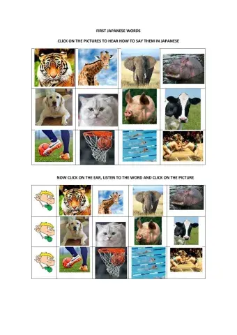 First Japanese Words