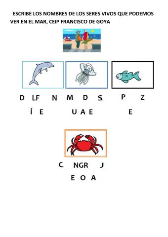 Verano y animales marinos