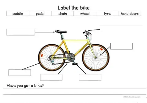 Label the bike