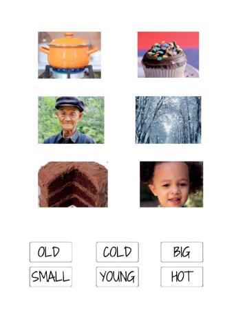 Choose the correct adjectives and match the opposites